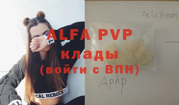 амф Касимов