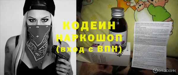 гашик Киренск
