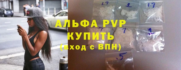 амф Касимов