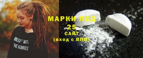крисы Каменка